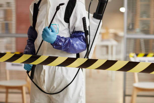 Professional Sewage Cleanup technician working in Great Meadows, NJ